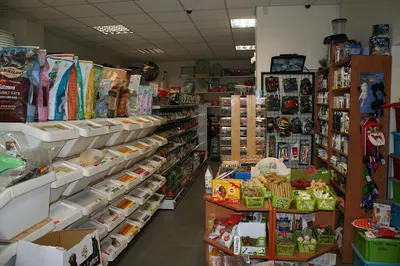 Sklep Zoologiczny Pluto Gliwice